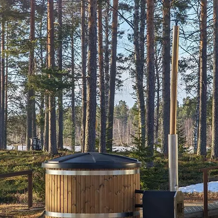 Lossisaari Tourist Center 4* Keitele