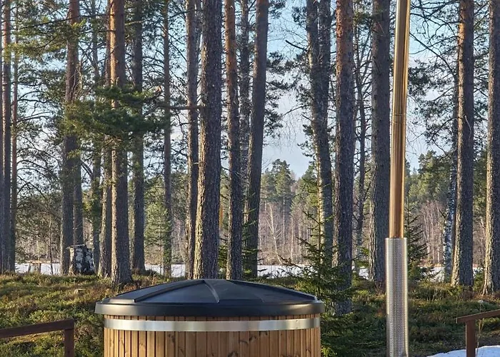 Lossisaari Tourist Center 4* Keitele